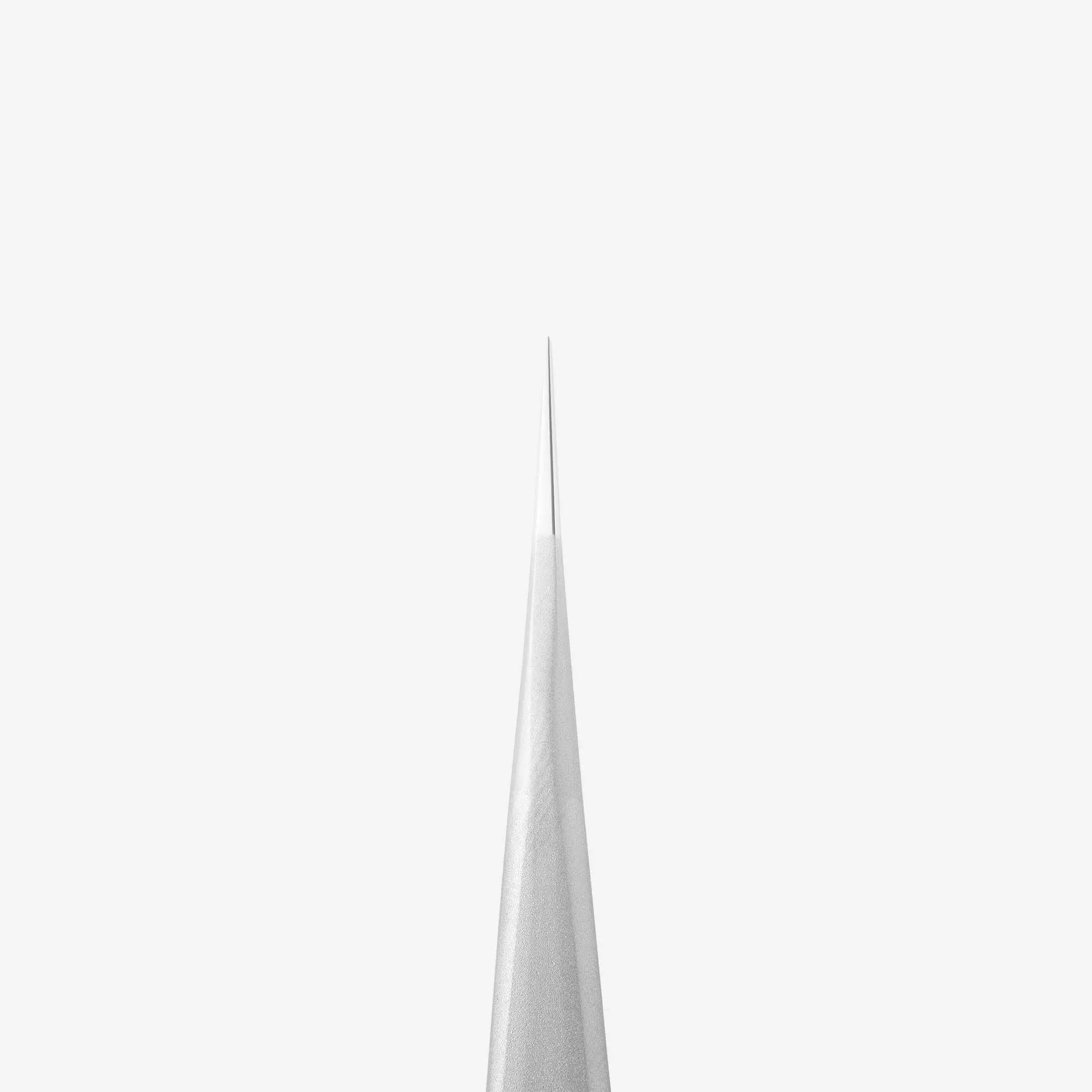 Professional Eyelash Tweezers EXPERT 41 TYPE 10 (Straight) for precise eyelash separation and professional eyebrow shaping.