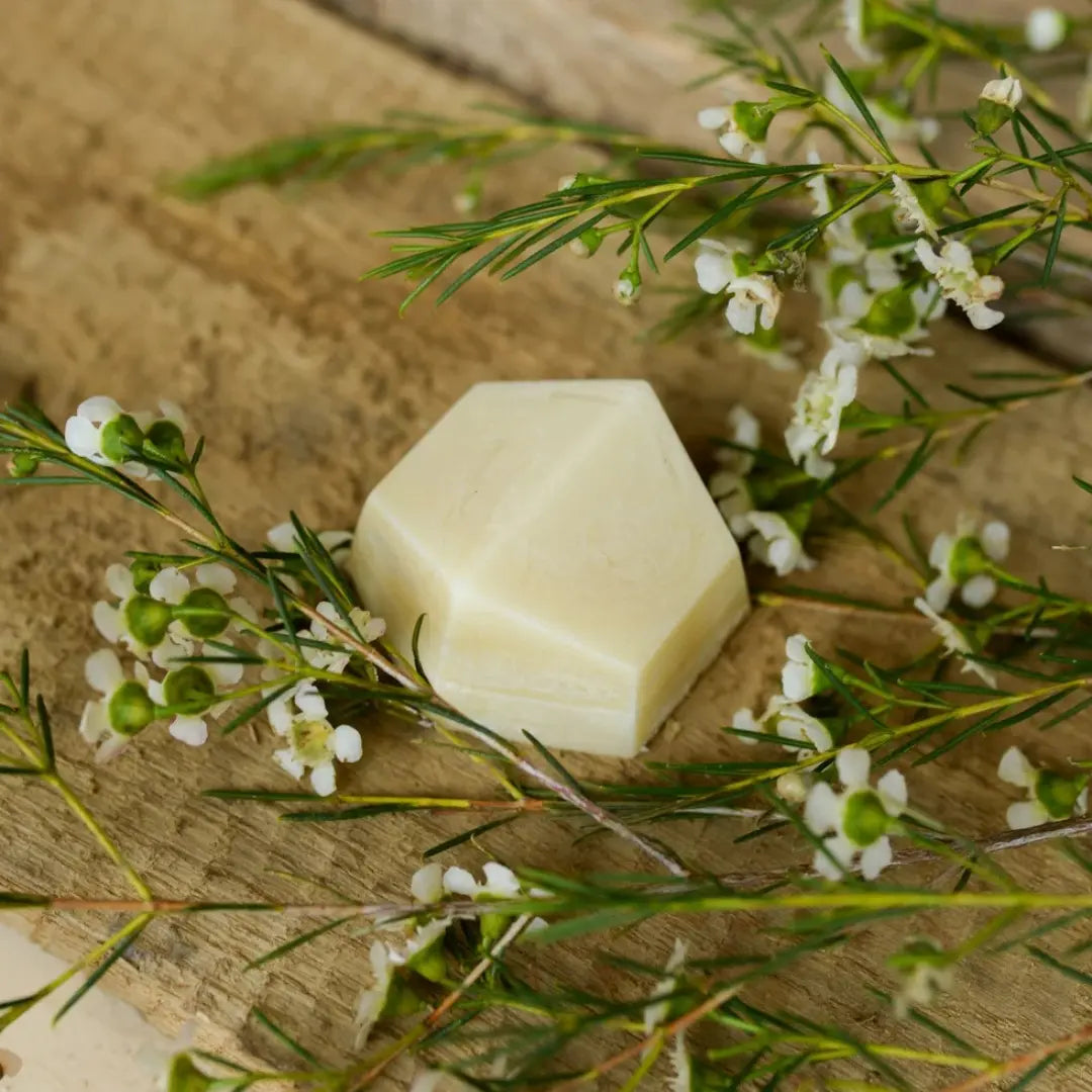 SOLIDU IT’S THYME solid body butter – nourishing herbal bar for dry skin, 50g