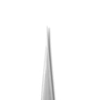 Staleks Pro Expert 41 Type 10 Straight Eyelash Tweezers for isolation